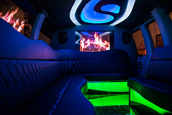 Ann Arbor party bus rentals