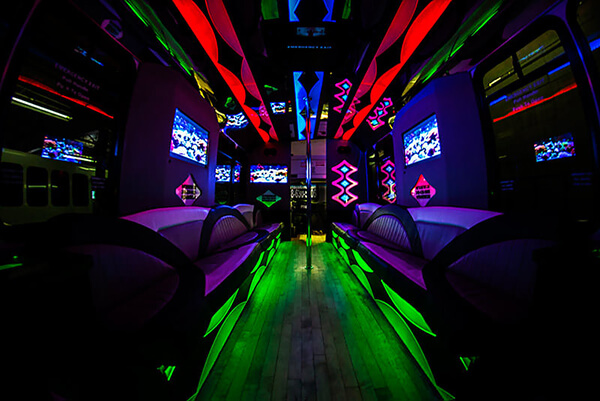 24-passenger party bus rental