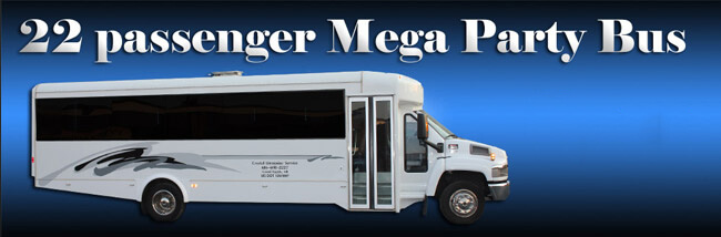 24 passenger luxury limo buses